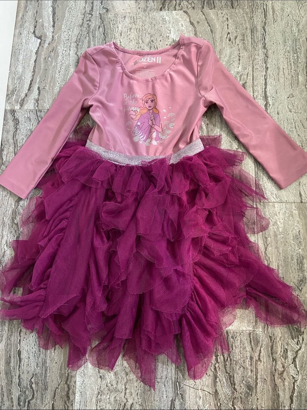 Disney Pink and Magenta Elsa Tutu Dress Costume
